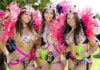 Miami Carnival Vir