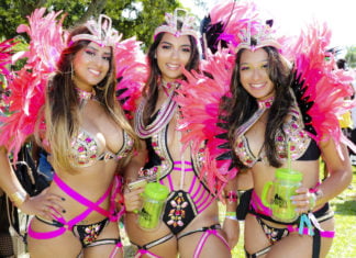 Miami Carnival Vir