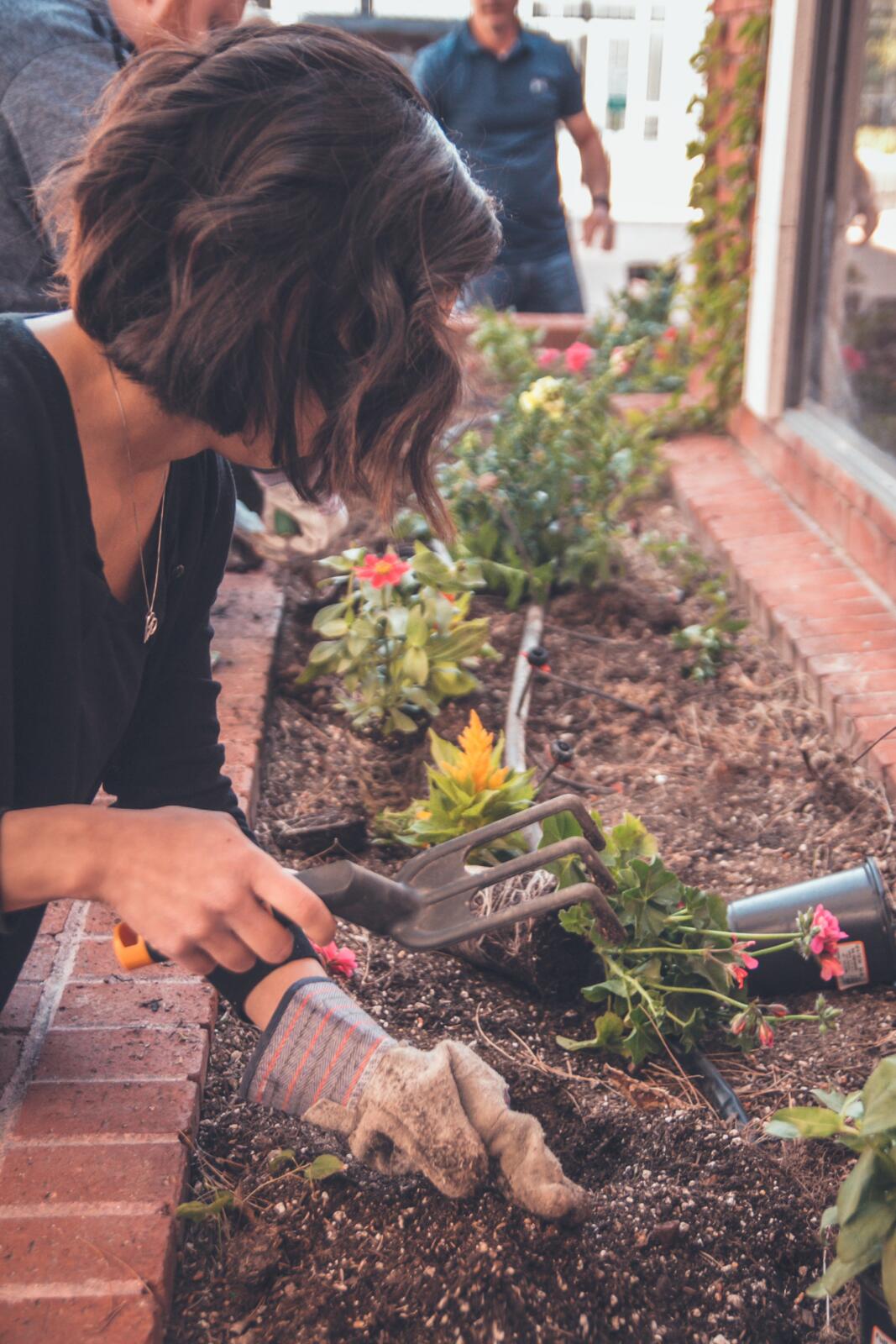The Most Effective Way To Prune Your Flowers