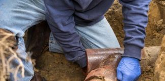 Common Signs Your Sewer Line Needs Repair