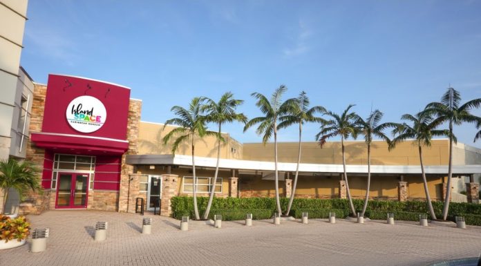 Caribbean Museum and Professional Network Present a Women’s History Month Celebration on March 20