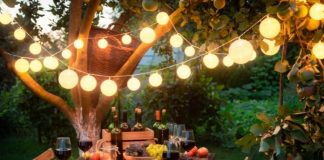 Top Entertainers: Tips for Hosting the Best Outdoor Party