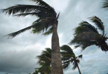 What Makes a House Uninhabitable After a Hurricane?