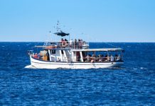 Helpful Tips To Get Ready for Your First Boat Tour
