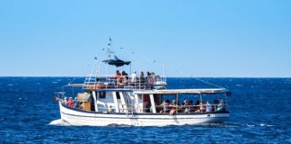 Helpful Tips To Get Ready for Your First Boat Tour
