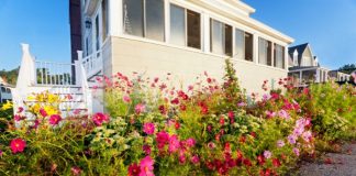 Key Tips for a Thriving Beachfront Garden