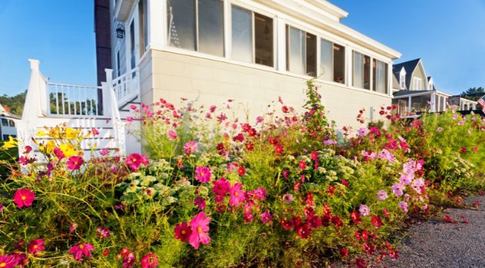 Key Tips for a Thriving Beachfront Garden