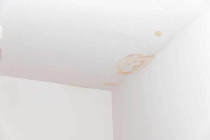 5 Ways To Find Hidden Water Leaks in Your Home