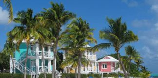 A row of colorful beach houses on the beach in the Caribbean with views of tall palm trees and white sands