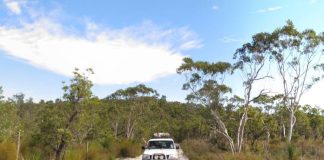 An islander enjoying an off-road adventure in a trusted vehicle after completing a few upgrades.