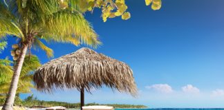 Two wooden lounge chairs sit under a straw umbrella on a sandy white beach. The sun shines on the beach and clear ocean water.