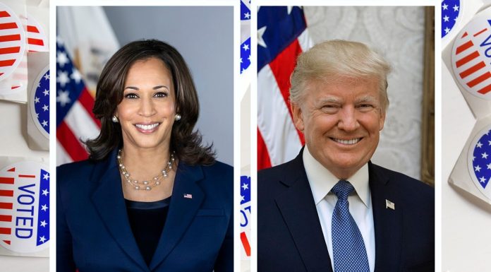 An Overview of Kamala Harris vs. Donald Trump on 12 Key Policy Positions