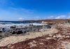 An Aruban beach coastline in the Caribbean Islands. Deep blue, whitecapped waves crash into the rocky shoreline.