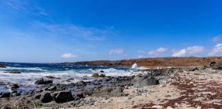 An Aruban beach coastline in the Caribbean Islands. Deep blue, whitecapped waves crash into the rocky shoreline.