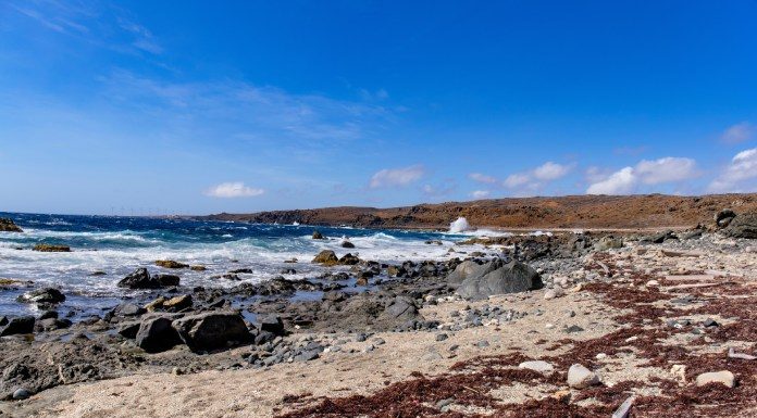 An Aruban beach coastline in the Caribbean Islands. Deep blue, whitecapped waves crash into the rocky shoreline.