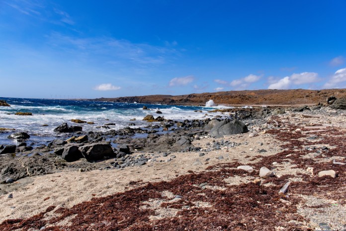 An Aruban beach coastline in the Caribbean Islands. Deep blue, whitecapped waves crash into the rocky shoreline.