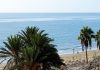 A wide shot of a beach with several people walking in the surf, with palm trees in the foreground and the ocean in the background.