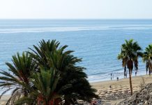 A wide shot of a beach with several people walking in the surf, with palm trees in the foreground and the ocean in the background.