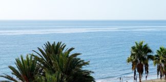 A wide shot of a beach with several people walking in the surf, with palm trees in the foreground and the ocean in the background.