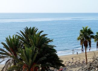 A wide shot of a beach with several people walking in the surf, with palm trees in the foreground and the ocean in the background.