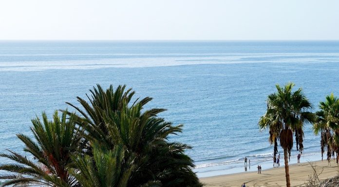 A wide shot of a beach with several people walking in the surf, with palm trees in the foreground and the ocean in the background.