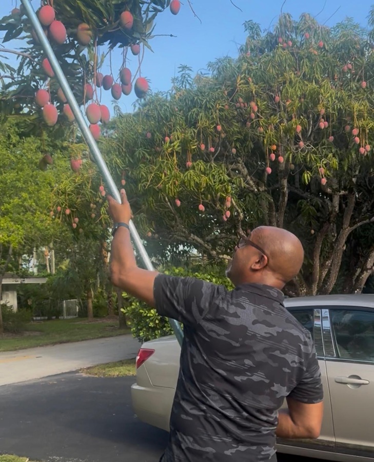 Mangoes, Love, and the Sweetness of Community, A Message from Attorney Marlon Hill