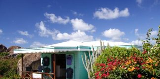A turquoise blue small Caribbean shop that's surrounded by plants on a cliff next to the beautiful ocean.