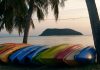 A close-up on a row of multiple colorful kayaks lying on their side next to three palm trees close to the shoreline.