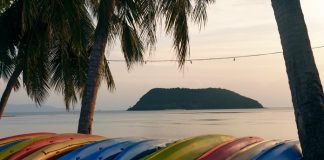 A close-up on a row of multiple colorful kayaks lying on their side next to three palm trees close to the shoreline.