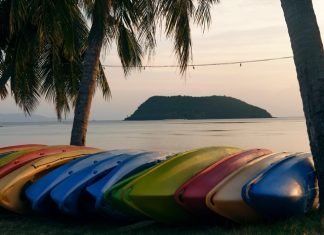 Why Did Kayak Fishing Become Popular in the Caribbean? A close-up on a row of multiple colorful kayaks lying on their side next to three palm trees close to the shoreline.