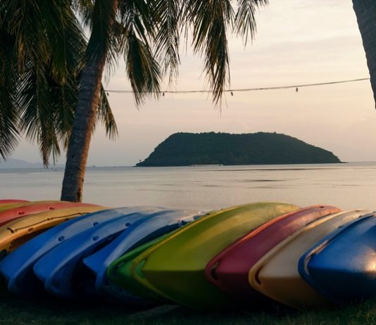A close-up on a row of multiple colorful kayaks lying on their side next to three palm trees close to the shoreline.
