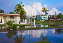A flooded street in a neighborhood with palm trees and colorful homes reflecting in standing rainwater after a storm.