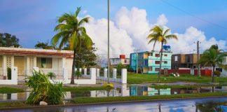 A flooded street in a neighborhood with palm trees and colorful homes reflecting in standing rainwater after a storm.
